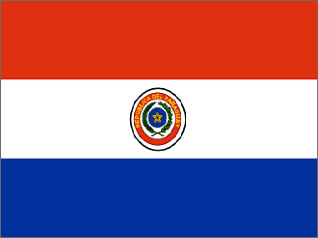 Paraguay's flag