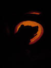 pumpkin carving bear